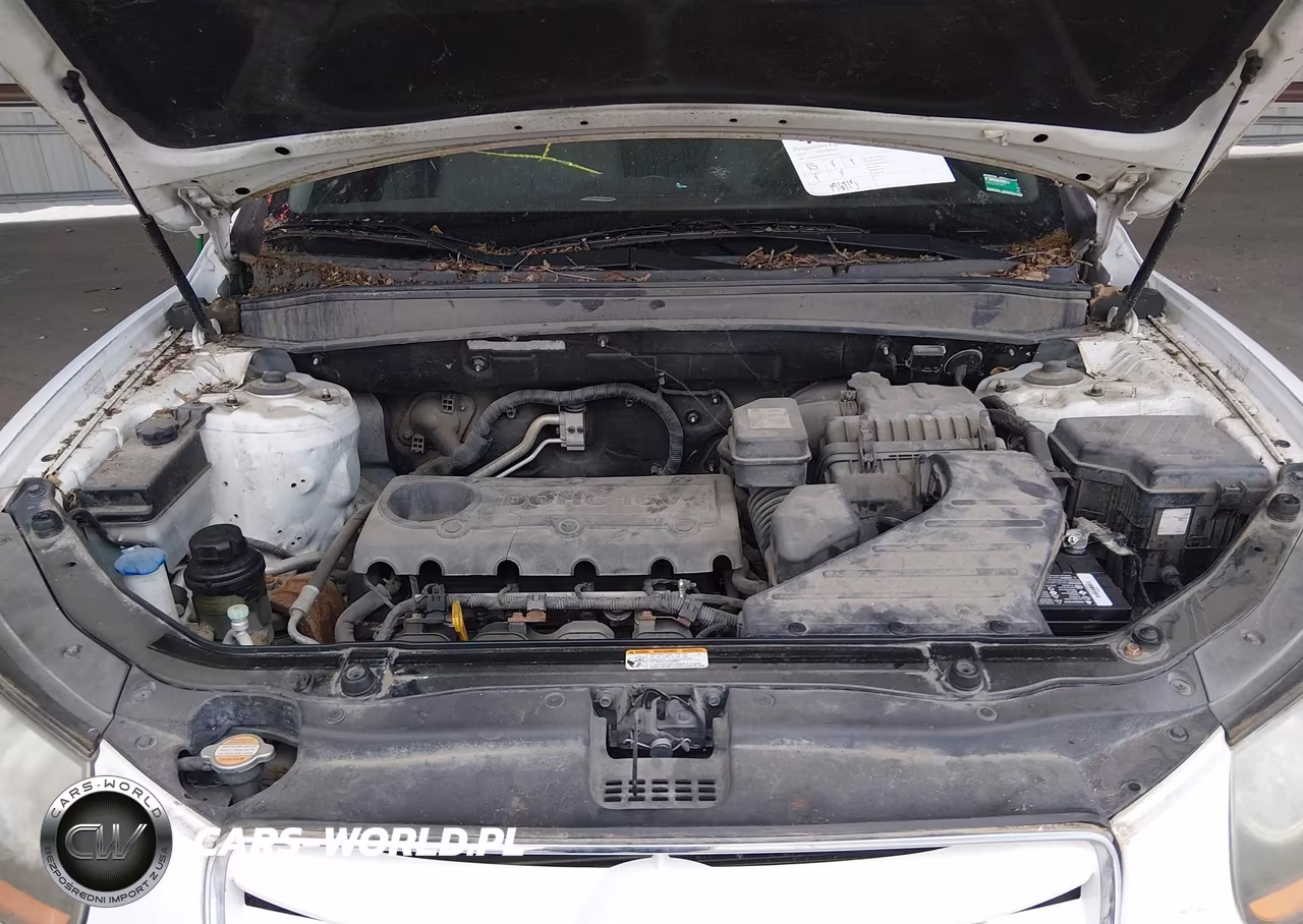 2010 Hyundai Santa Fe Gls VIN:5NMSGDAB5AH366047 - 10