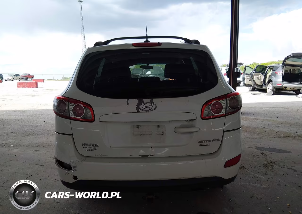 2010 Hyundai Santa Fe Gls VIN:5NMSGDAB5AH366047 - 16
