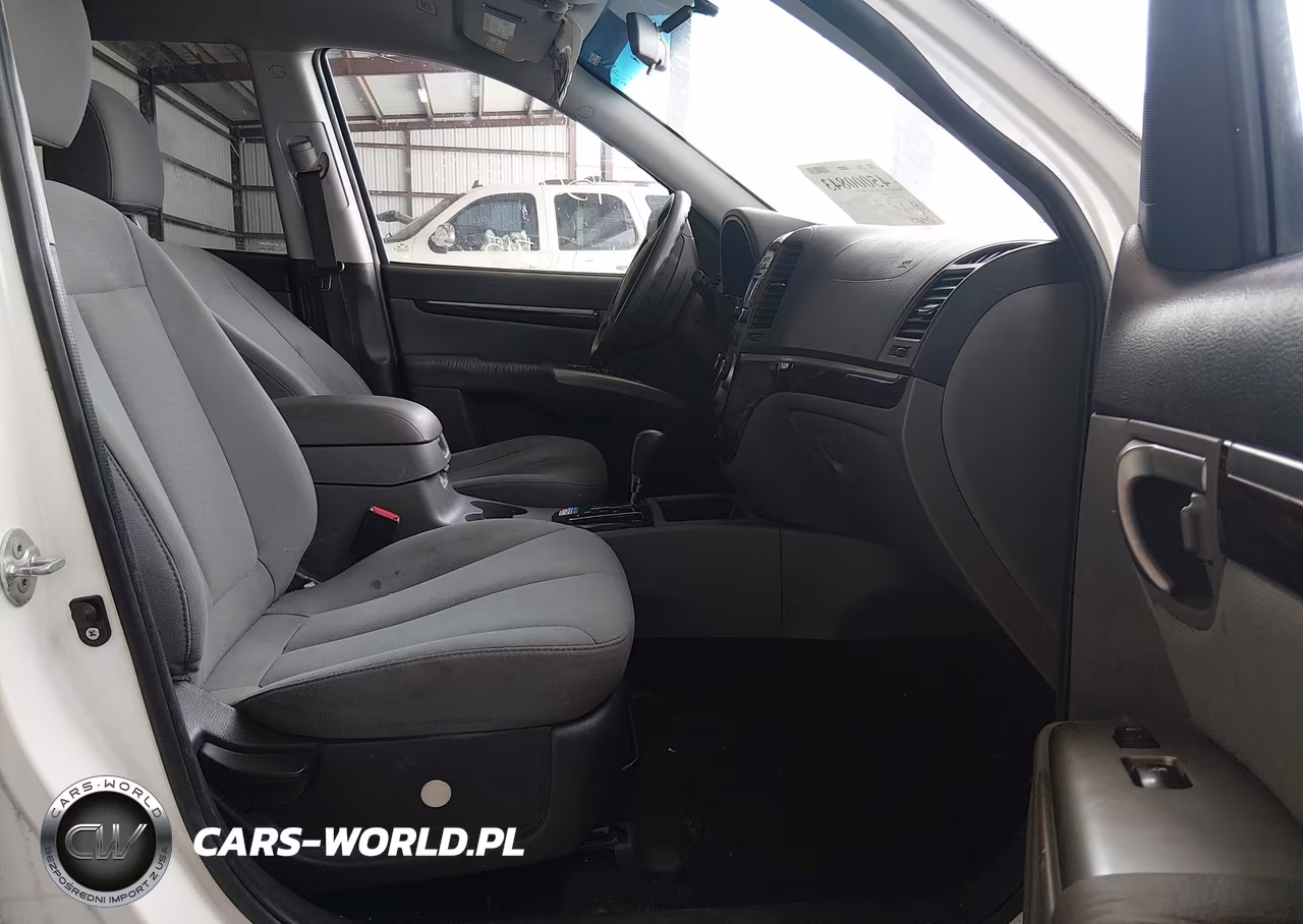 2010 Hyundai Santa Fe Gls VIN:5NMSGDAB5AH366047 - 5