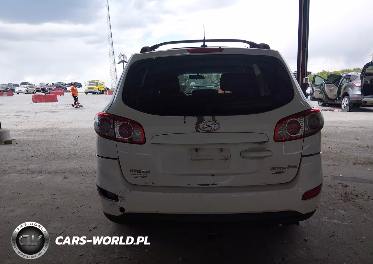 2010 Hyundai Santa Fe Gls VIN:5NMSGDAB5AH366047 - 6