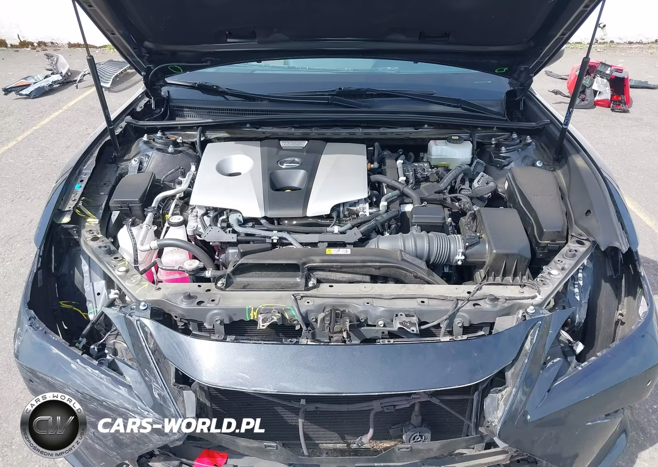 2021 Lexus Es 300H VIN:58ADA1C16MU013069 - 10