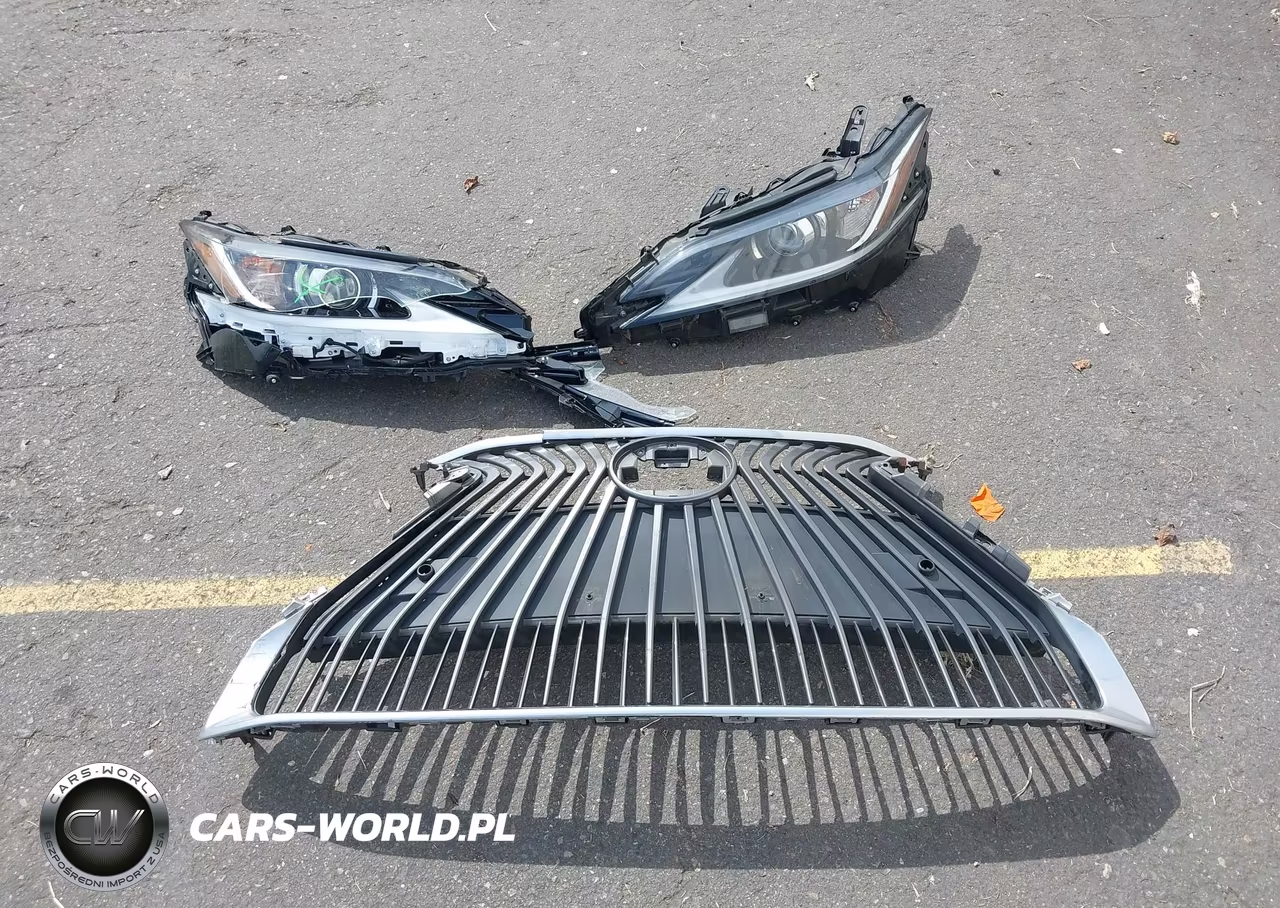 2021 Lexus Es 300H VIN:58ADA1C16MU013069 - 12