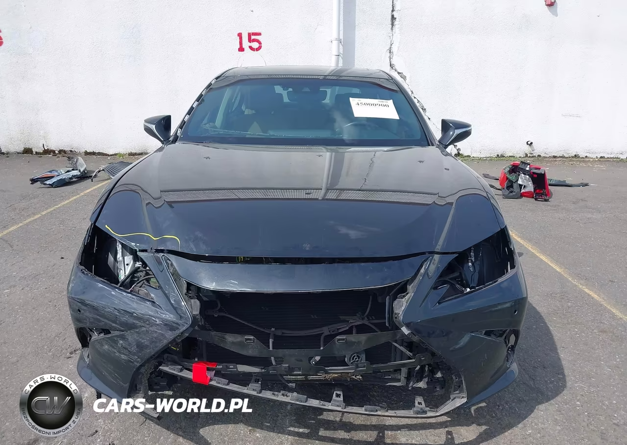 2021 Lexus Es 300H VIN:58ADA1C16MU013069 - 13