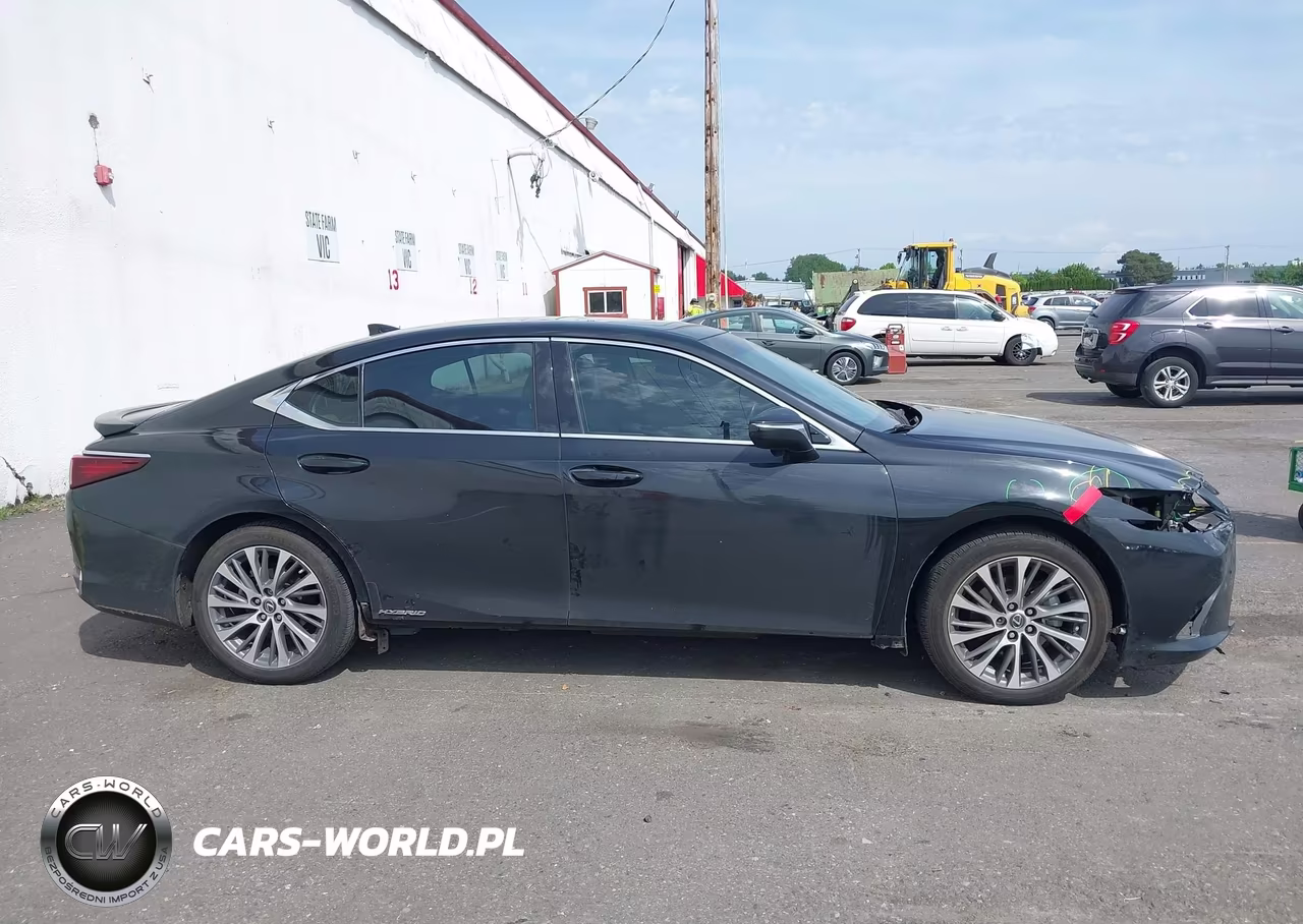 2021 Lexus Es 300H VIN:58ADA1C16MU013069 - 14