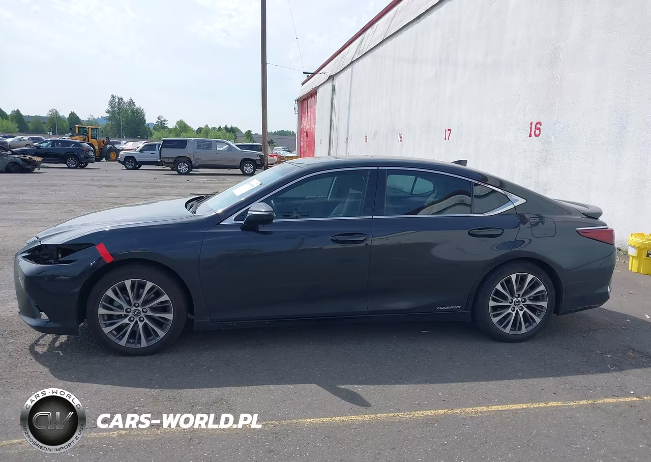 2021 Lexus Es 300H VIN:58ADA1C16MU013069 - 15