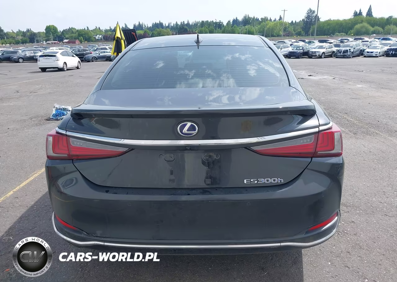2021 Lexus Es 300H VIN:58ADA1C16MU013069 - 17