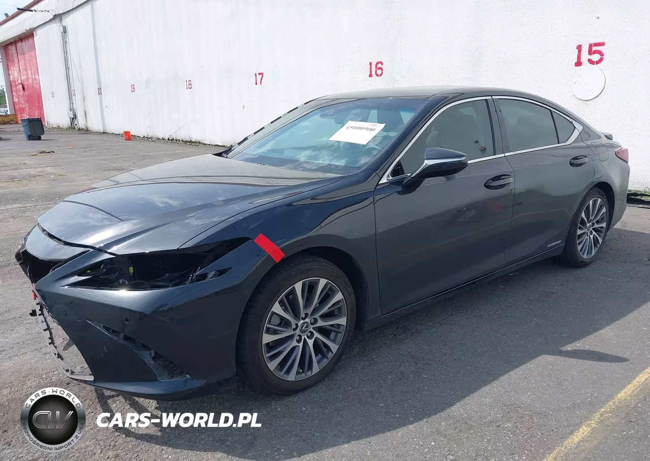 2021 Lexus Es 300H VIN:58ADA1C16MU013069 - 2