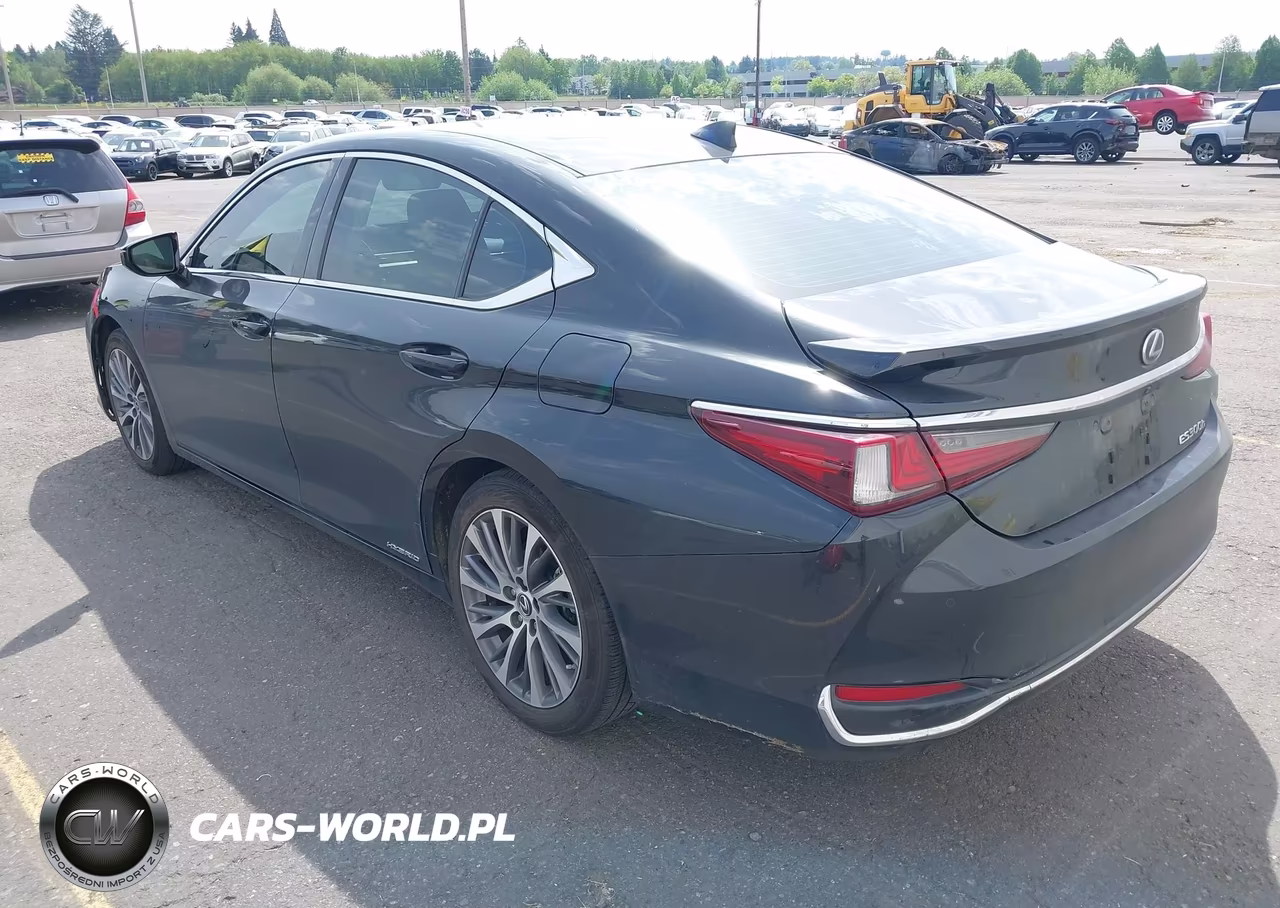 2021 Lexus Es 300H VIN:58ADA1C16MU013069 - 3