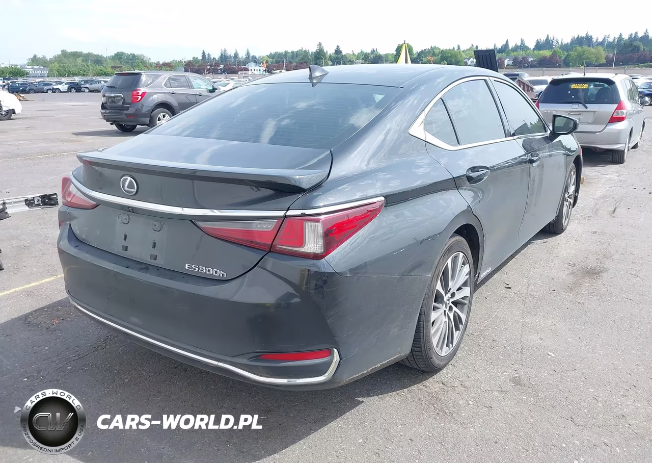 2021 Lexus Es 300H VIN:58ADA1C16MU013069 - 4