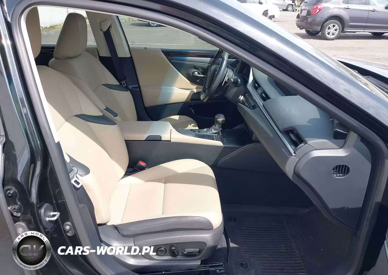 2021 Lexus Es 300H VIN:58ADA1C16MU013069 - 5