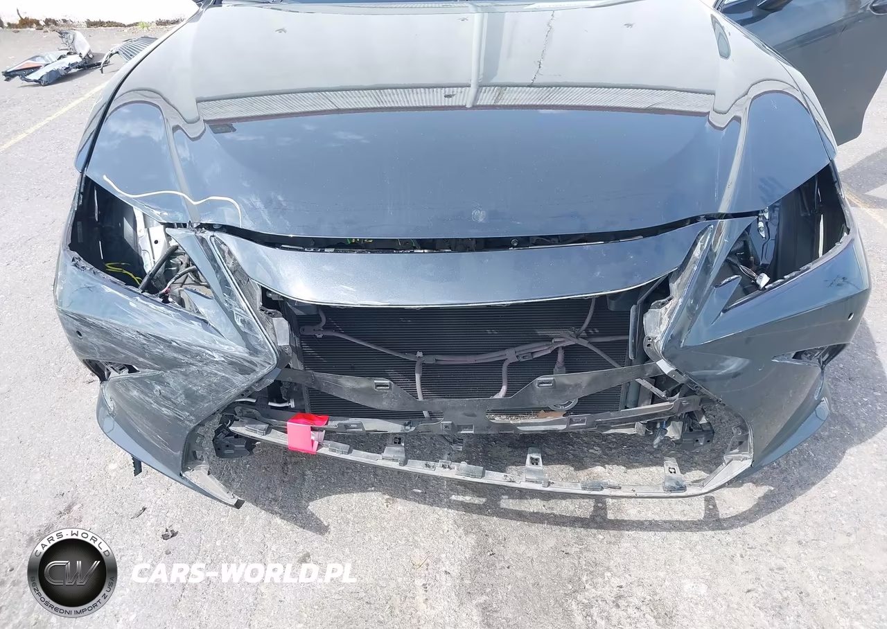 2021 Lexus Es 300H VIN:58ADA1C16MU013069 - 6