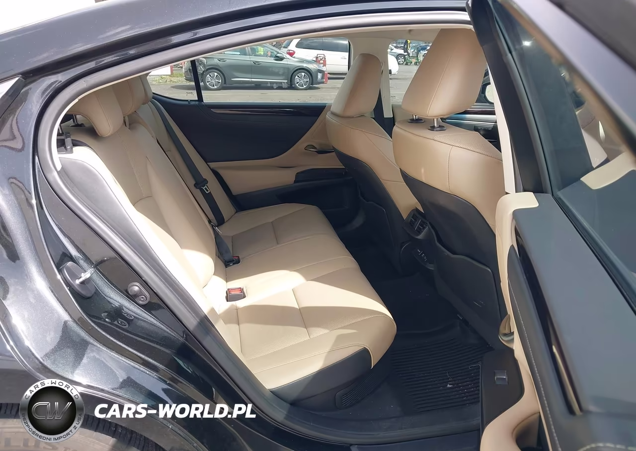 2021 Lexus Es 300H VIN:58ADA1C16MU013069 - 8