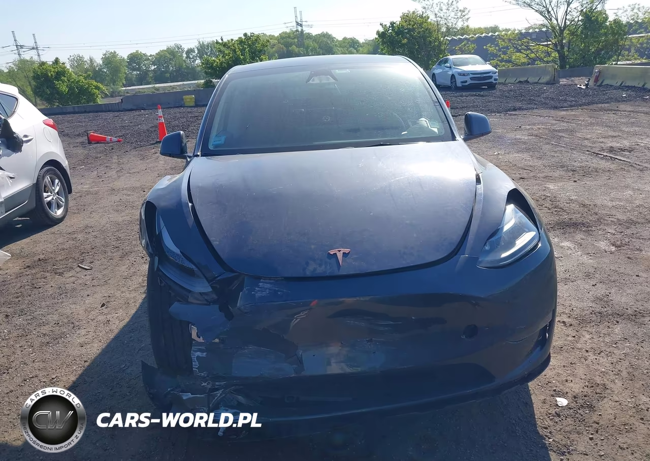 2023 Tesla Model Y Awd-Long Range Dual Motor All-Wheel Drive VIN:7SAYGDEE0PA174771 - 12