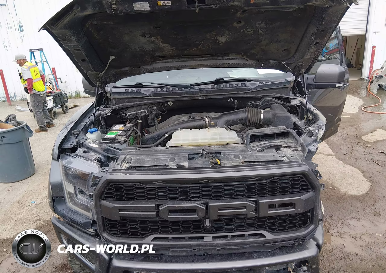 2018 Ford F-150 Raptor VIN:1FTFW1RG2JFC35271 - 10