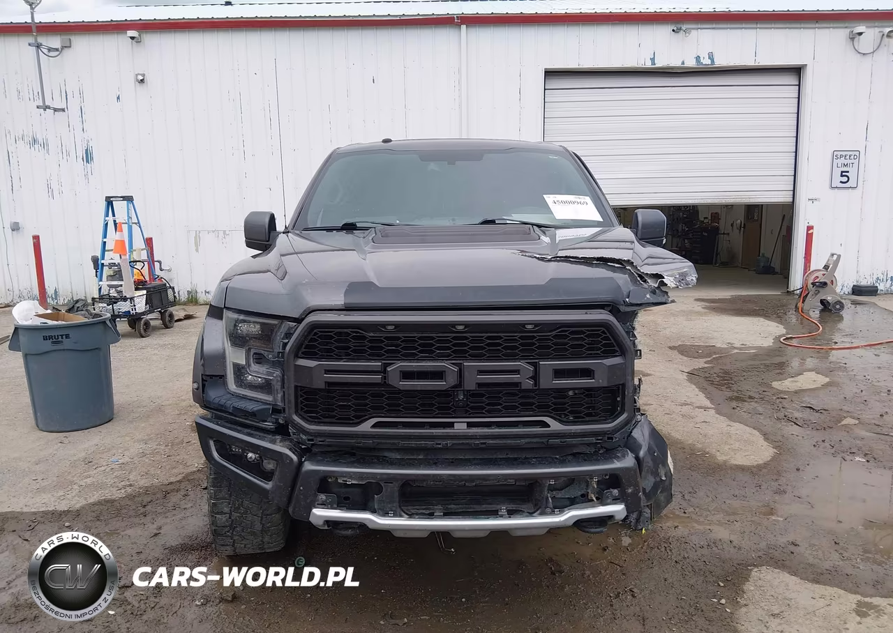 2018 Ford F-150 Raptor VIN:1FTFW1RG2JFC35271 - 12