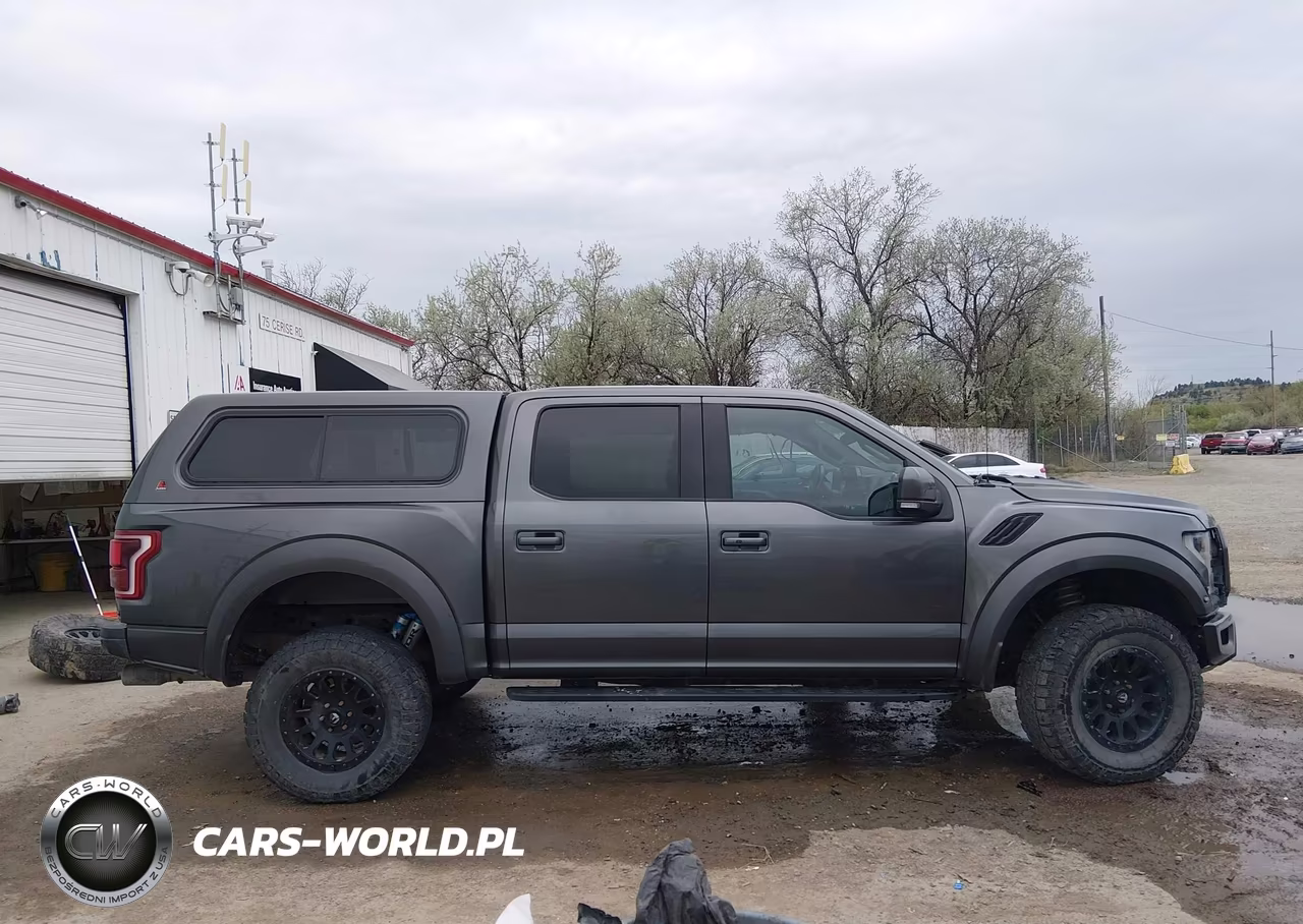 2018 Ford F-150 Raptor VIN:1FTFW1RG2JFC35271 - 13