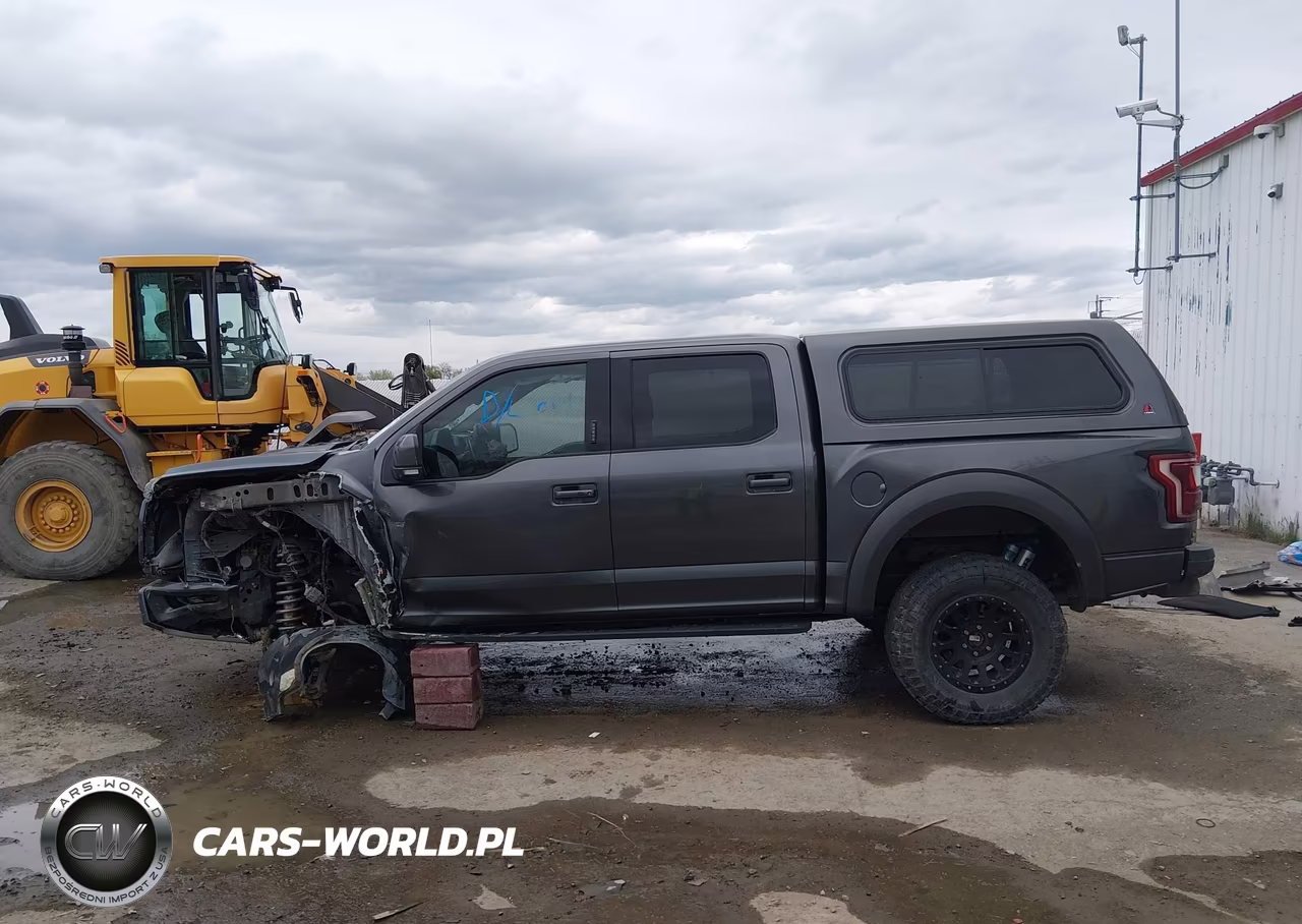 2018 Ford F-150 Raptor VIN:1FTFW1RG2JFC35271 - 14