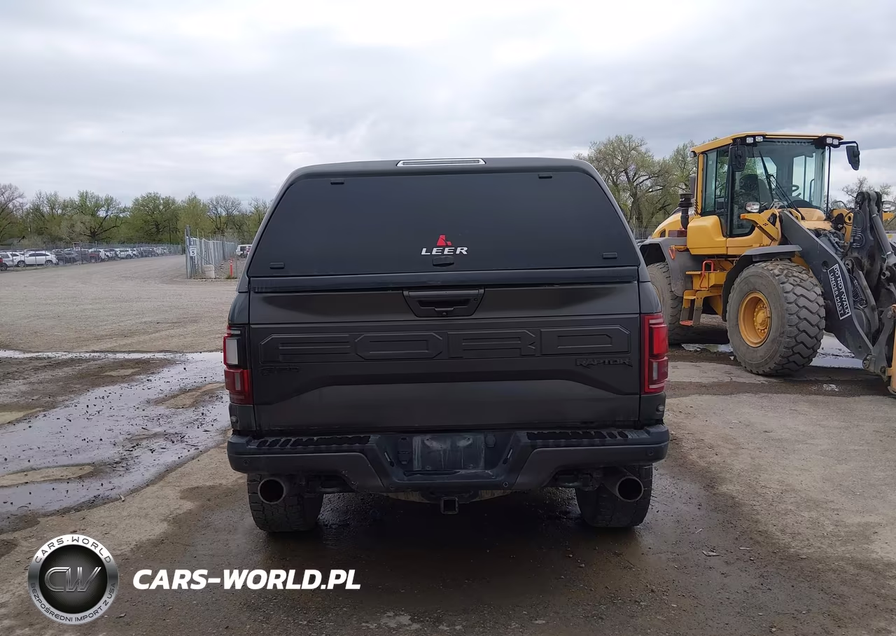 2018 Ford F-150 Raptor VIN:1FTFW1RG2JFC35271 - 16