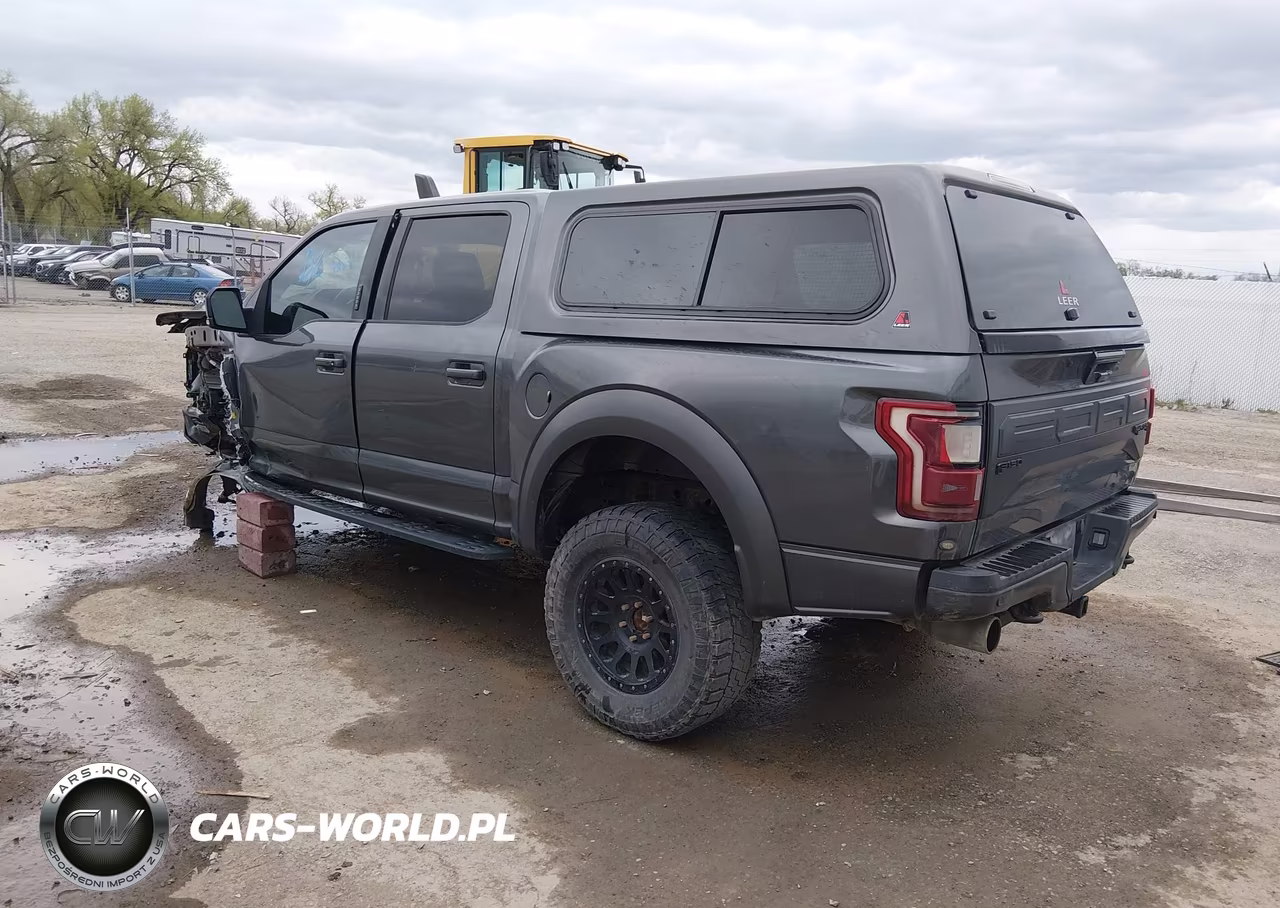 2018 Ford F-150 Raptor VIN:1FTFW1RG2JFC35271 - 3