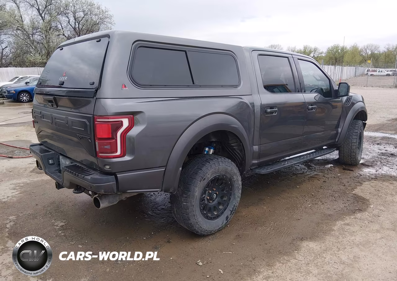 2018 Ford F-150 Raptor VIN:1FTFW1RG2JFC35271 - 4