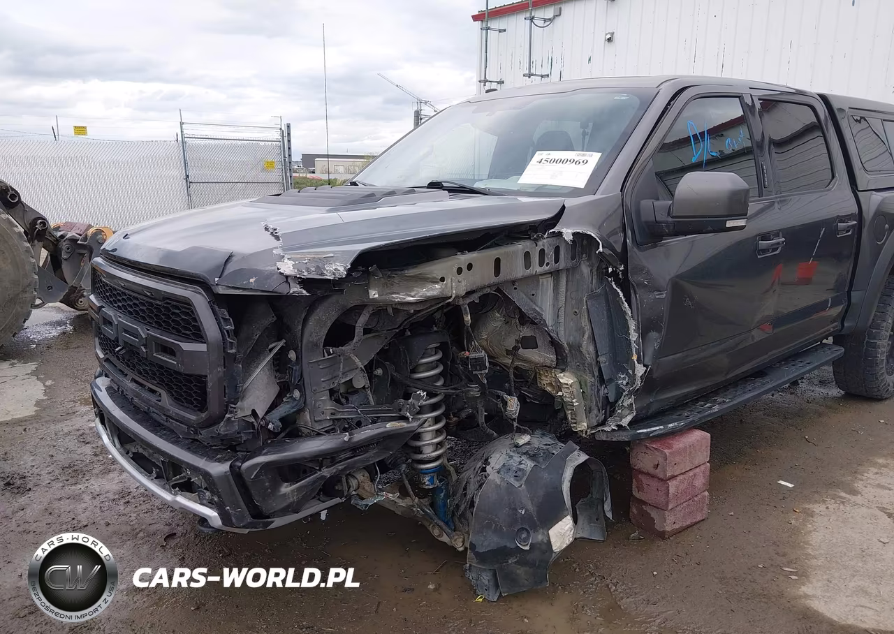 2018 Ford F-150 Raptor VIN:1FTFW1RG2JFC35271 - 6