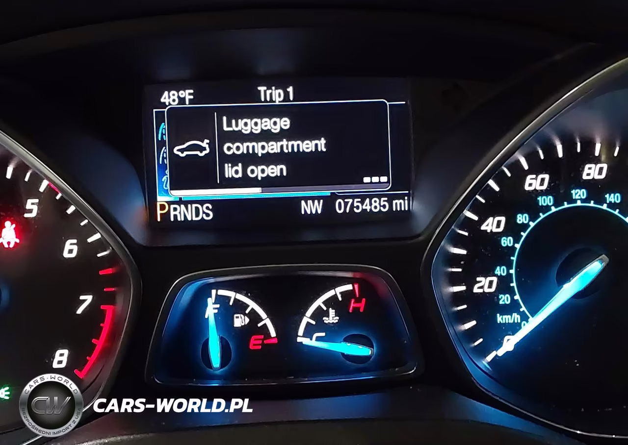 2013 Ford Escape Sel VIN:1FMCU9H94DUD91334 - 15