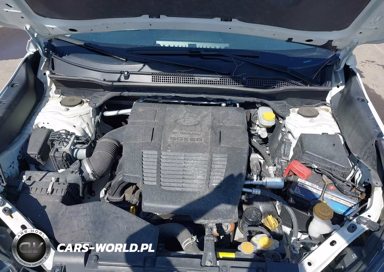 2019 Subaru Forester Limited VIN:JF2SKAUC7KH543011 - 10