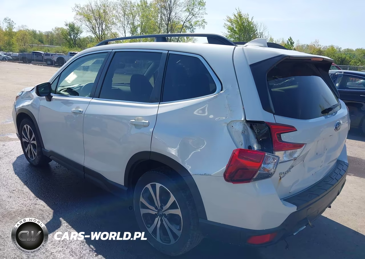 2019 Subaru Forester Limited VIN:JF2SKAUC7KH543011 - 3