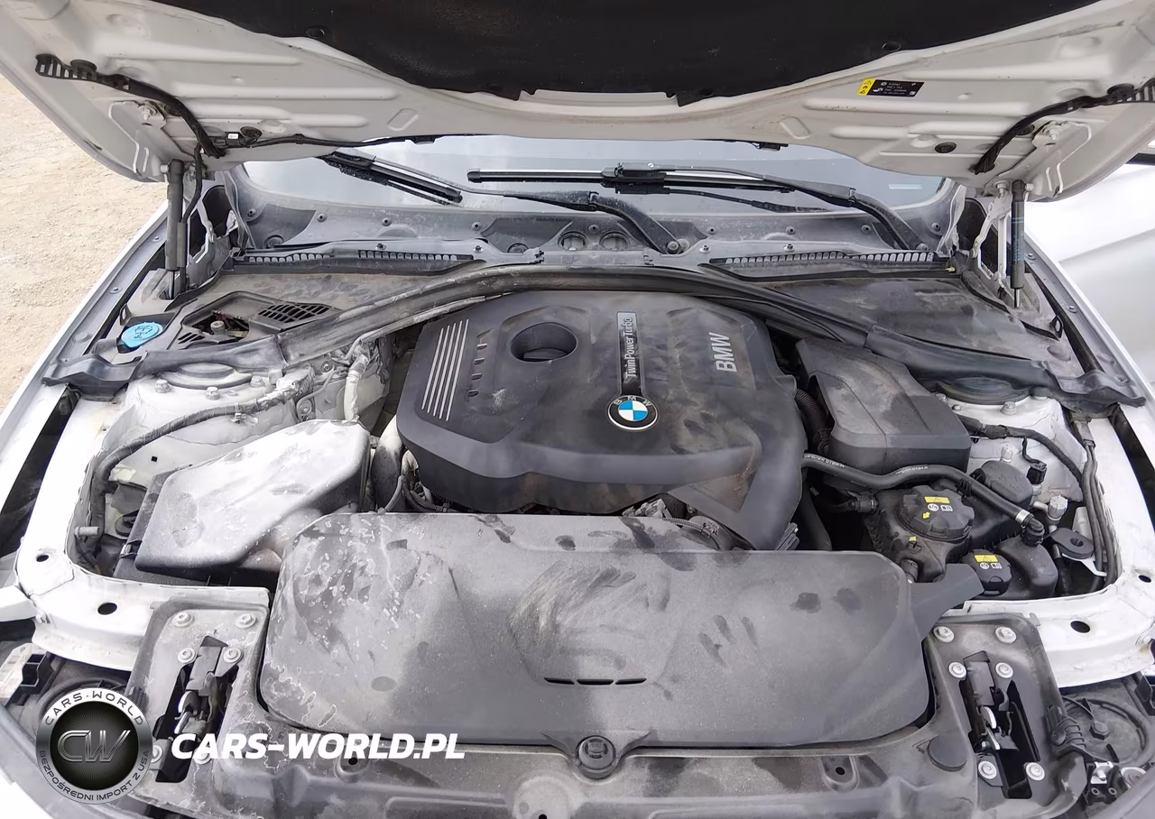 BMW 330I VIN:WBA8B9G34HNU52336 - 10