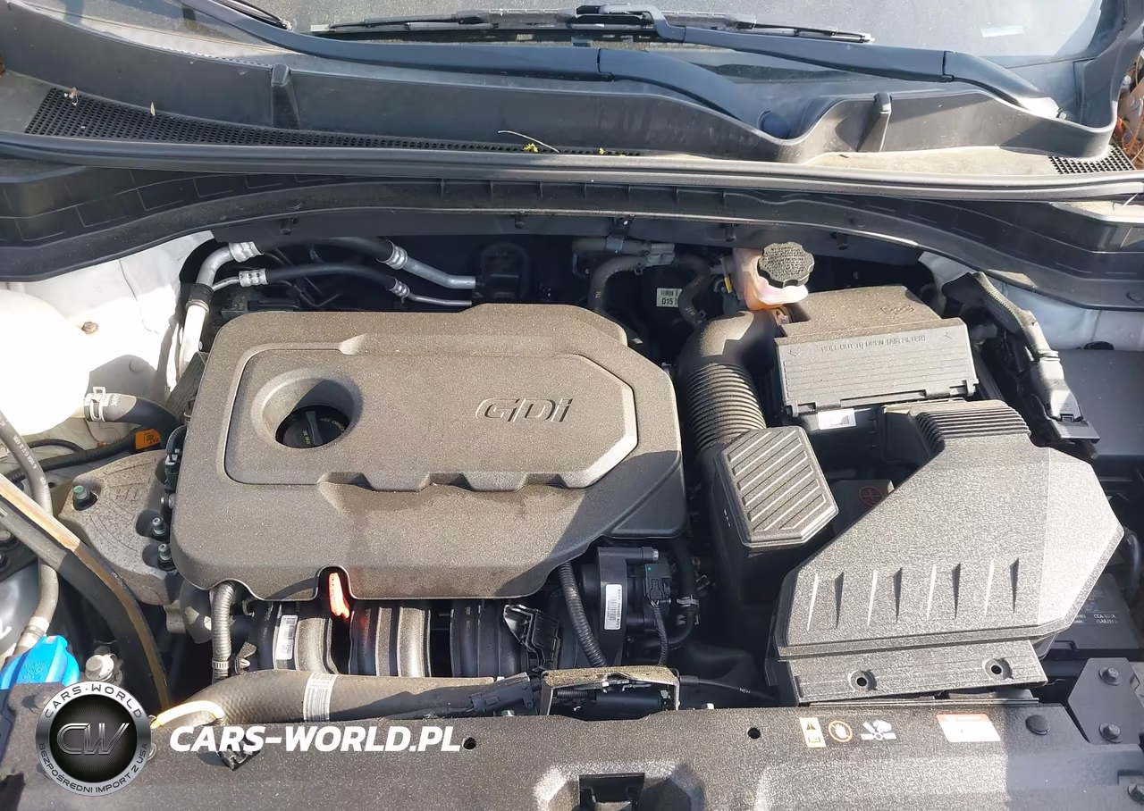 2019 Kia Sportage Lx VIN:KNDPMCAC4K7528745 - 10