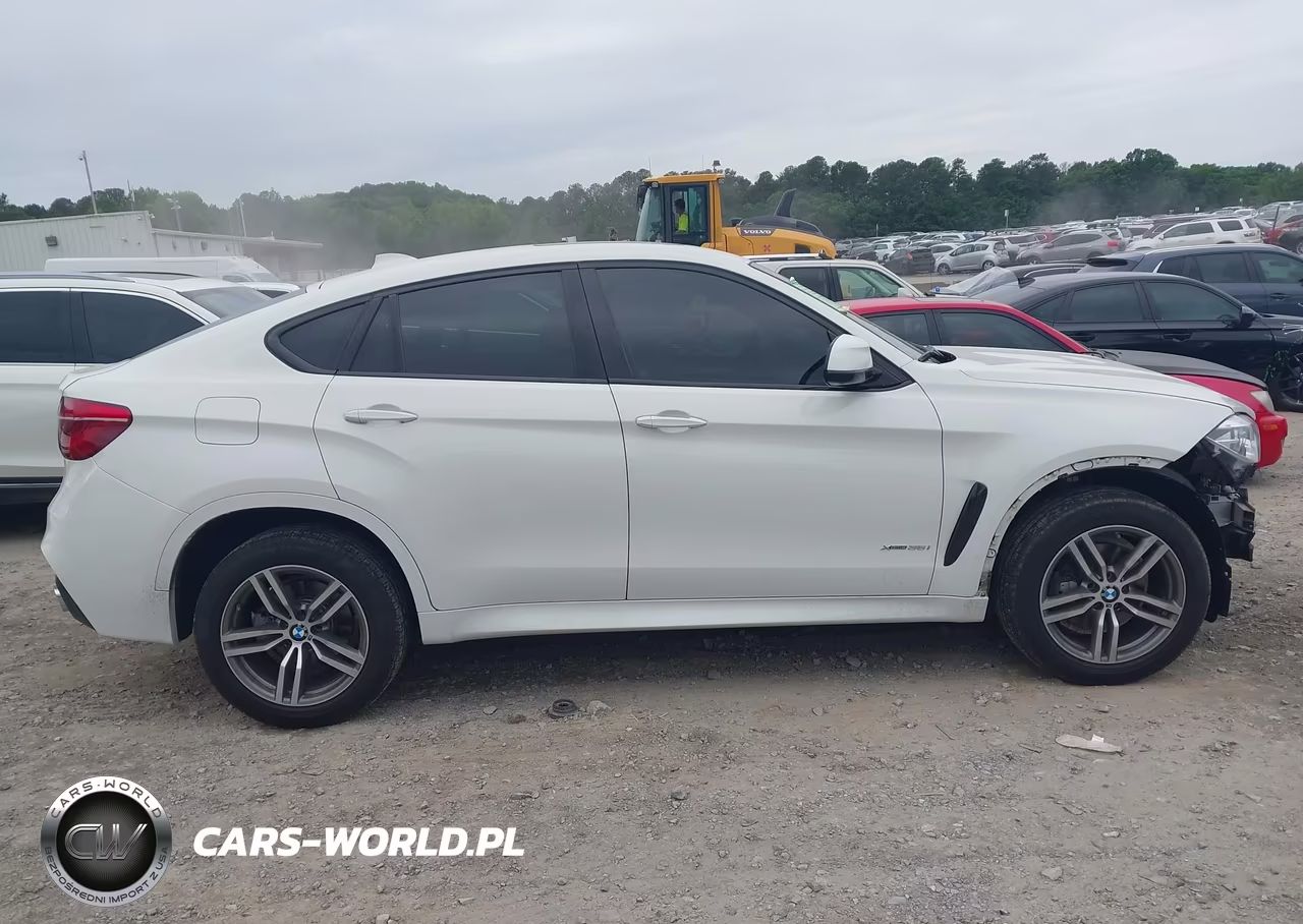 2018 BMW X6 xDrive35I VIN:5UXKU2C50J0X51535 - 13