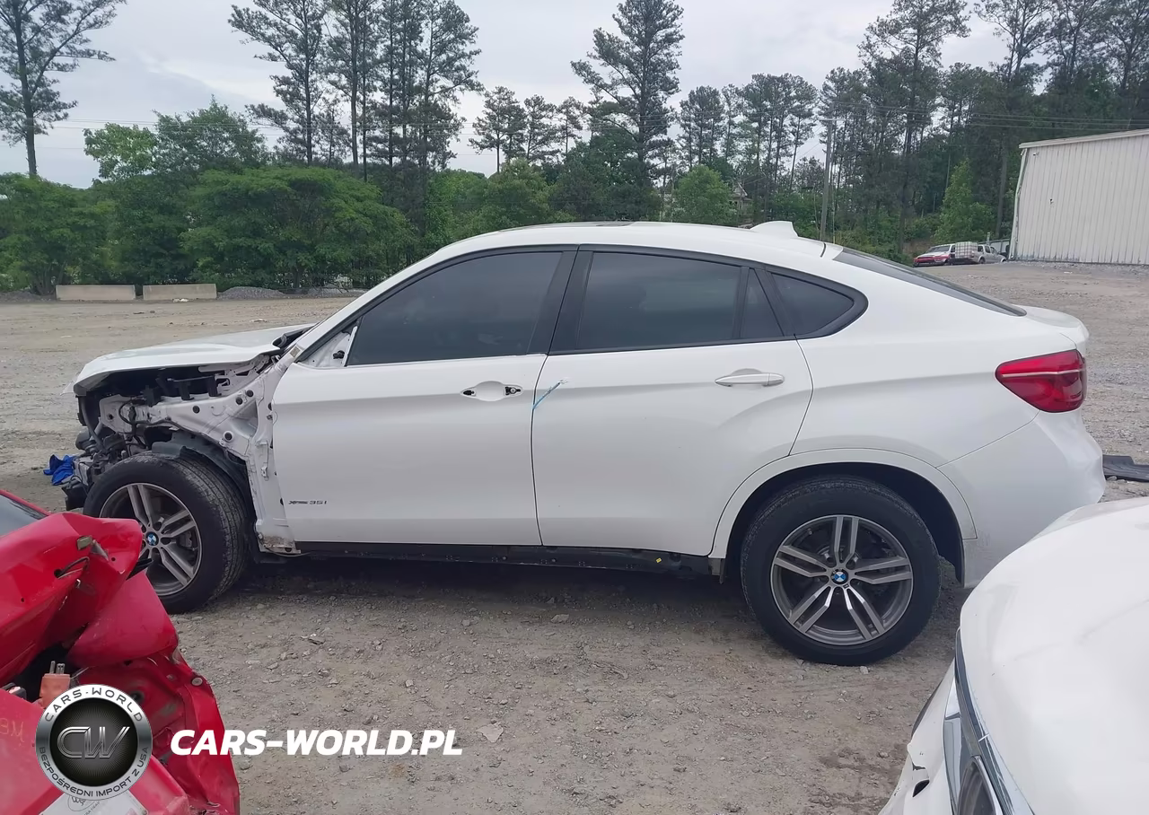 2018 BMW X6 xDrive35I VIN:5UXKU2C50J0X51535 - 14
