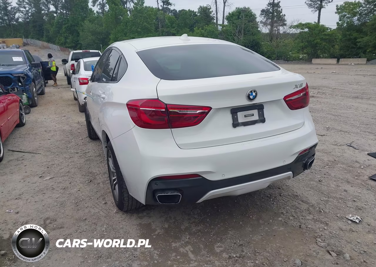 2018 BMW X6 xDrive35I VIN:5UXKU2C50J0X51535 - 3