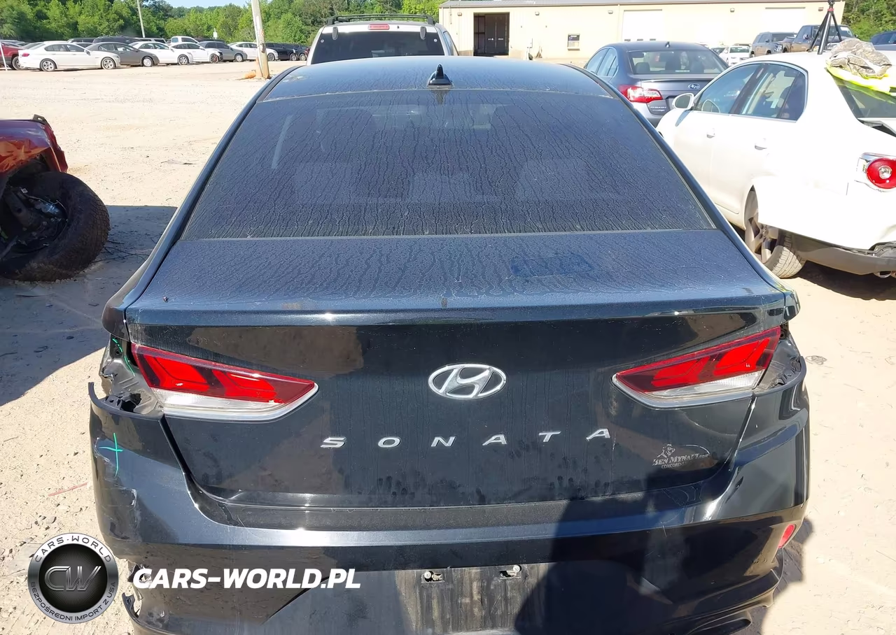 2018 Hyundai Sonata Sel+ VIN:5NPE34AF0JH711306 - 16