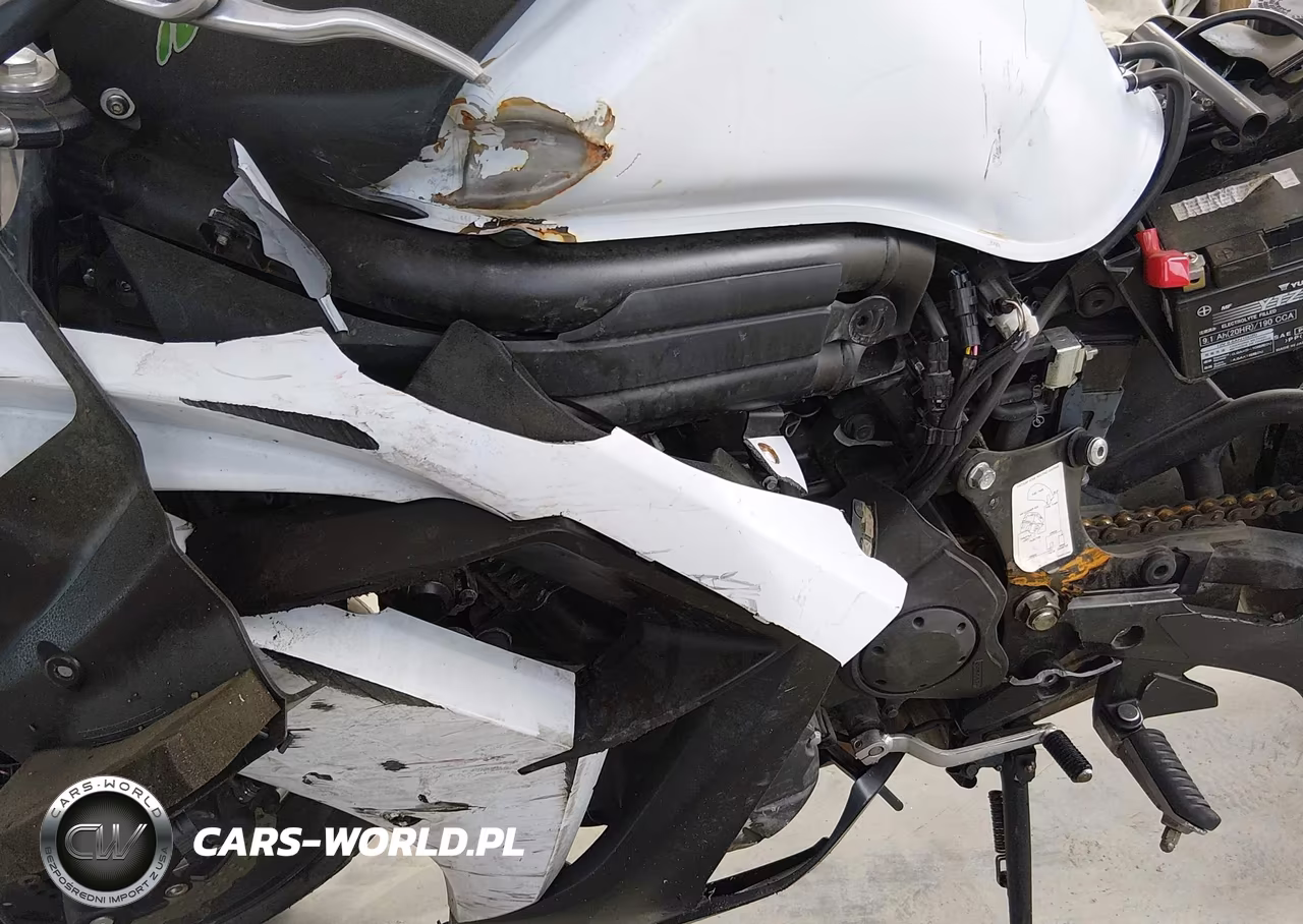 2015 Kawasaki Ex650 E VIN:JKAEXEE17FDA18137 - 18