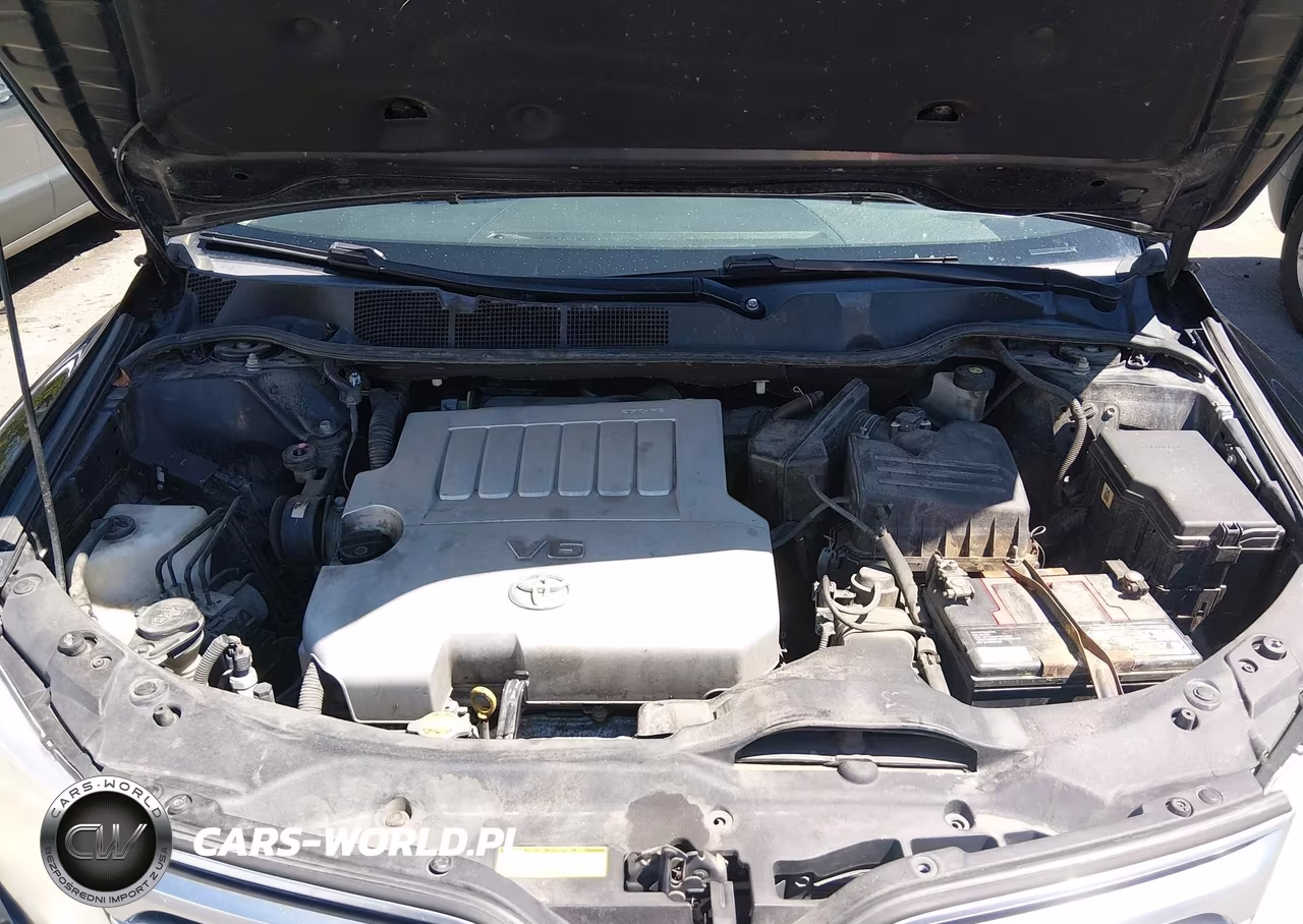 2009 Toyota Venza Base V6 VIN:4T3BK11A09U026316 - 10