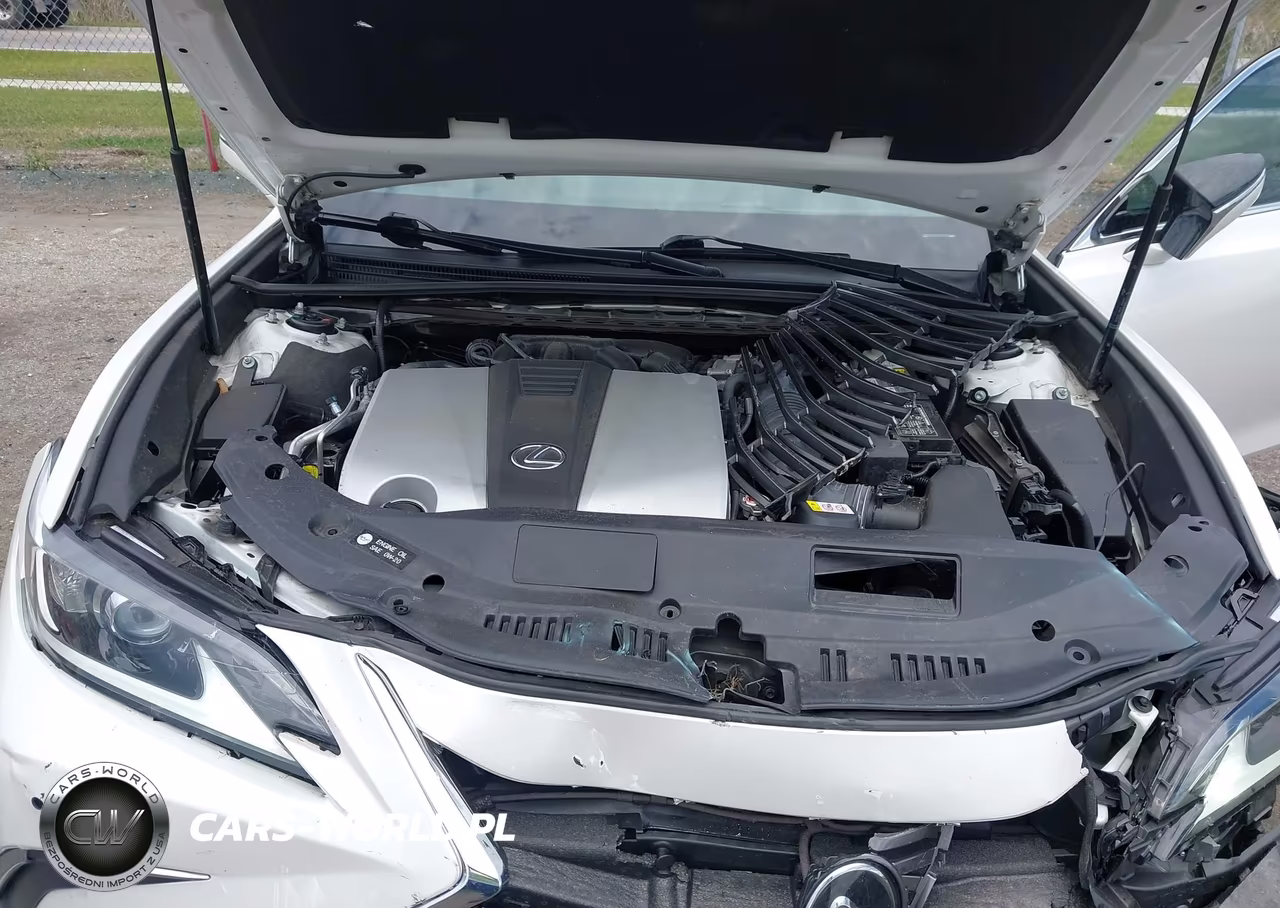 2019 Lexus Es 350 VIN:58ABZ1B10KU033896 - 10