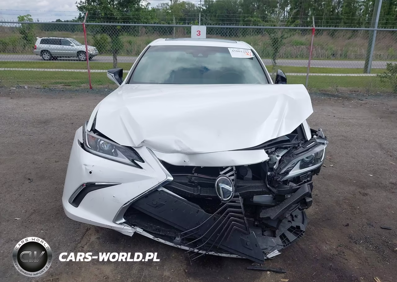 2019 Lexus Es 350 VIN:58ABZ1B10KU033896 - 12