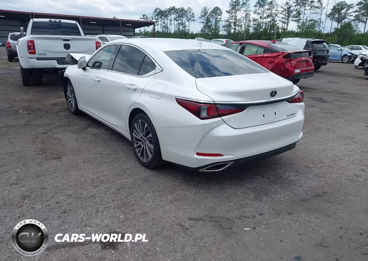 2019 Lexus Es 350 VIN:58ABZ1B10KU033896 - 3