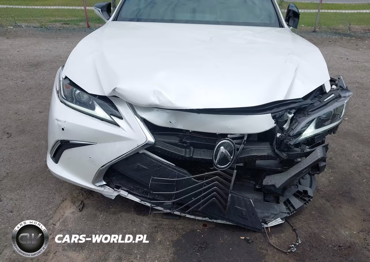 2019 Lexus Es 350 VIN:58ABZ1B10KU033896 - 6