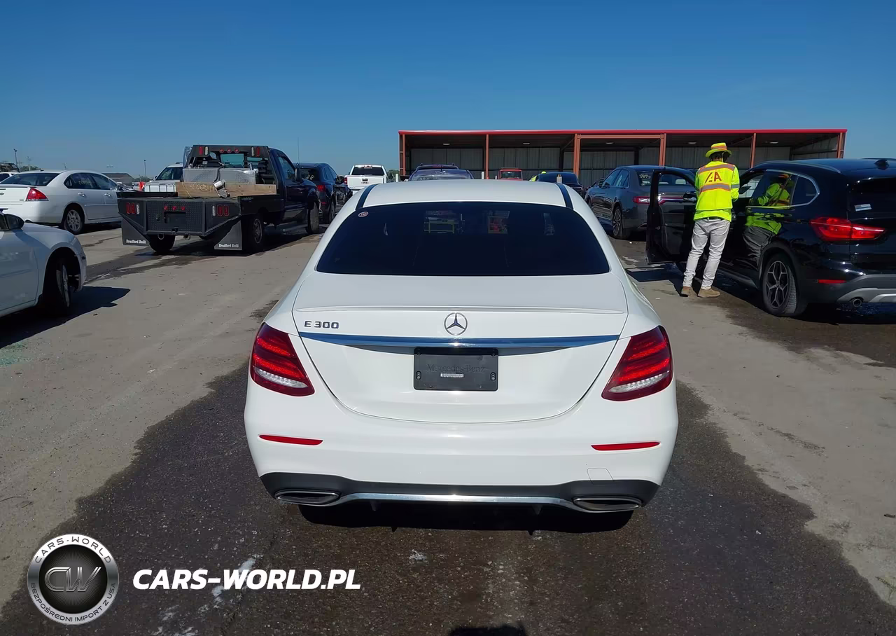 2019 Mercedes-Benz E 300 VIN:WDDZF4JB6KA688229 - 16