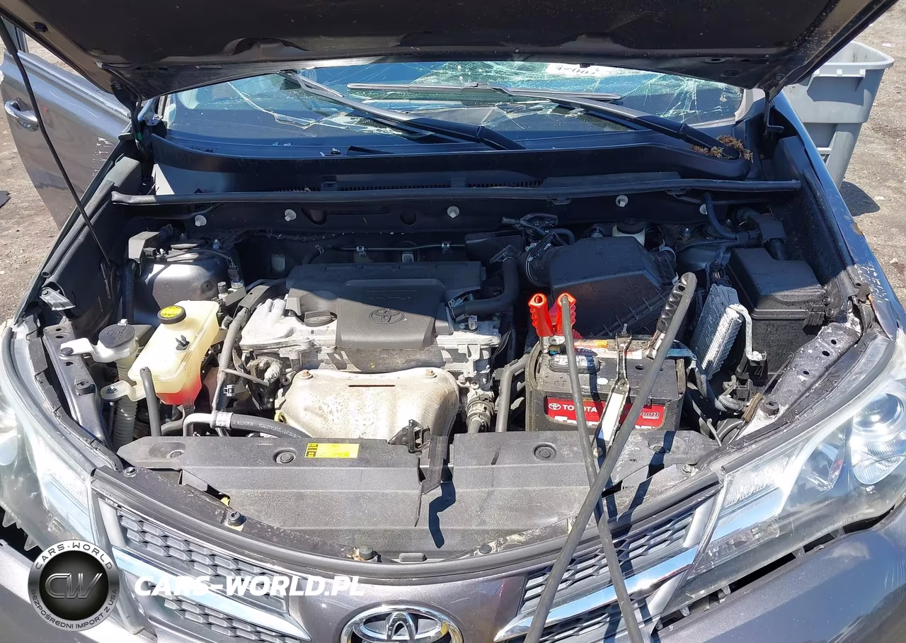 2014 Toyota Rav4 Xle VIN:2T3RFREV4EW164904 - 10