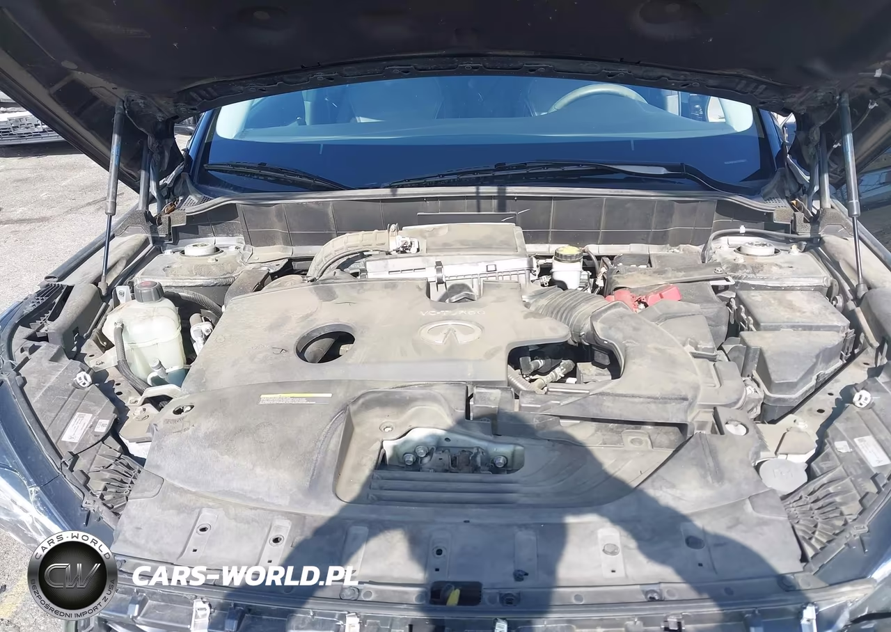 2019 Infiniti Qx50 Luxe VIN:3PCAJ5M10KF137400 - 10