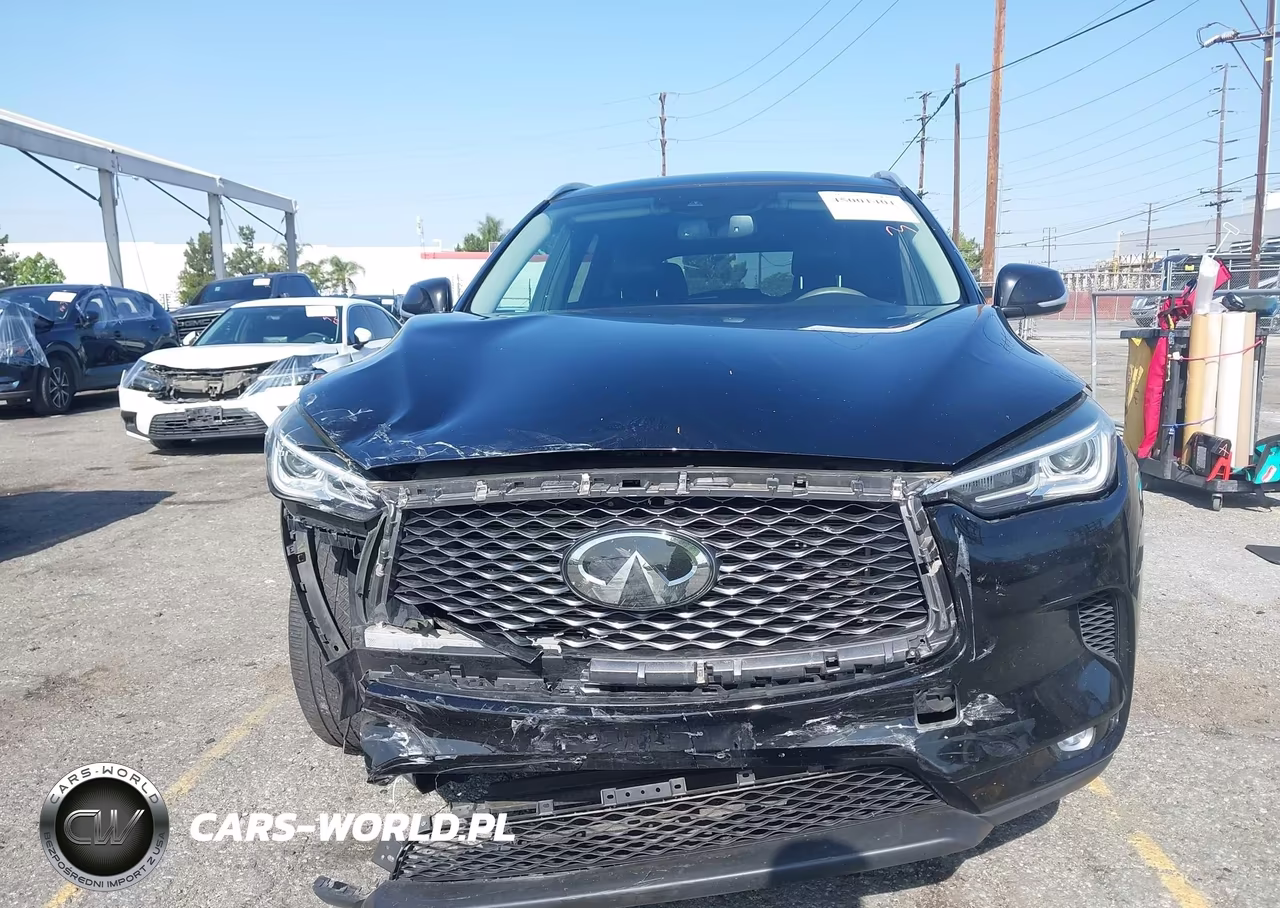 2019 Infiniti Qx50 Luxe VIN:3PCAJ5M10KF137400 - 12