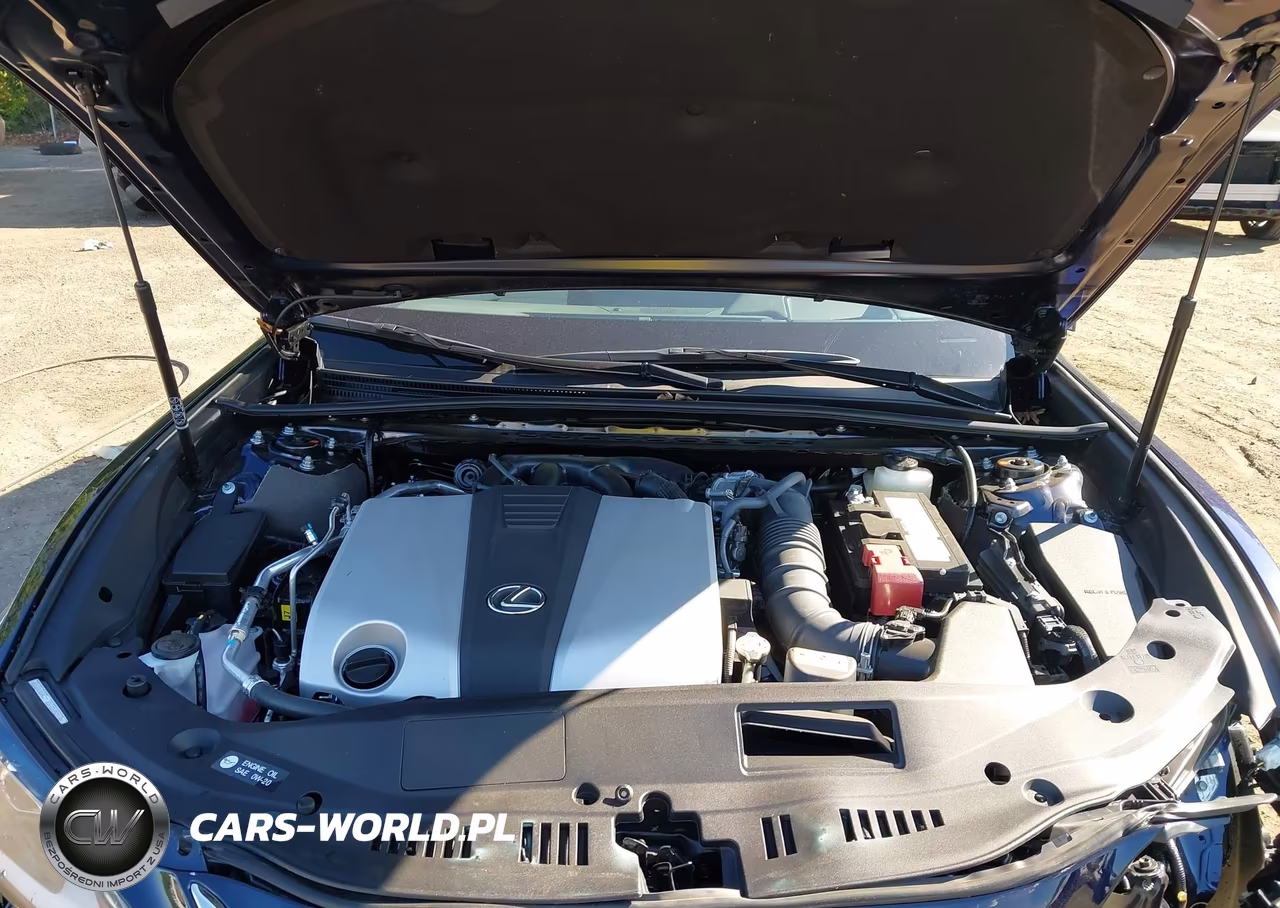 2024 Lexus Es 350 VIN:58ADZ1B10RU180979 - 10