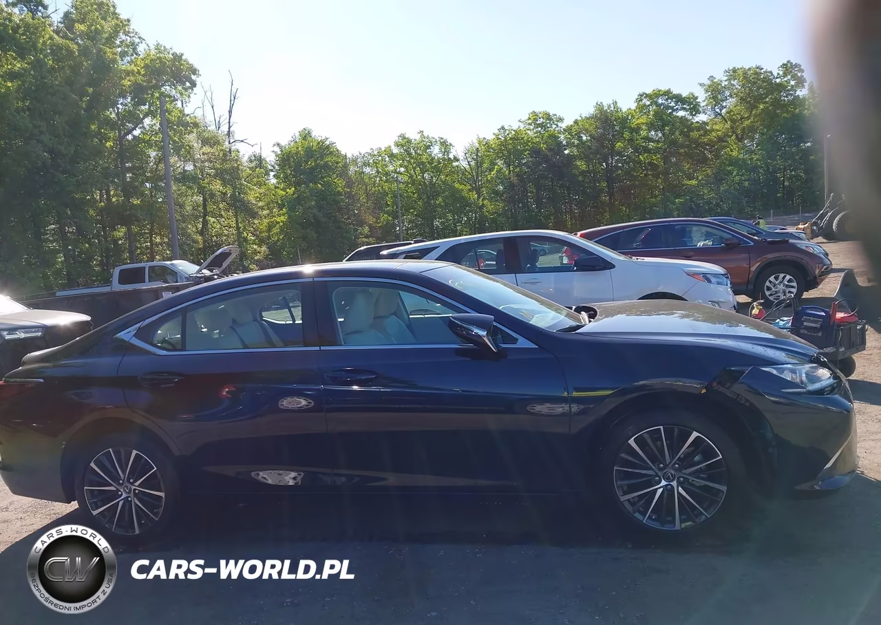 2024 Lexus Es 350 VIN:58ADZ1B10RU180979 - 13