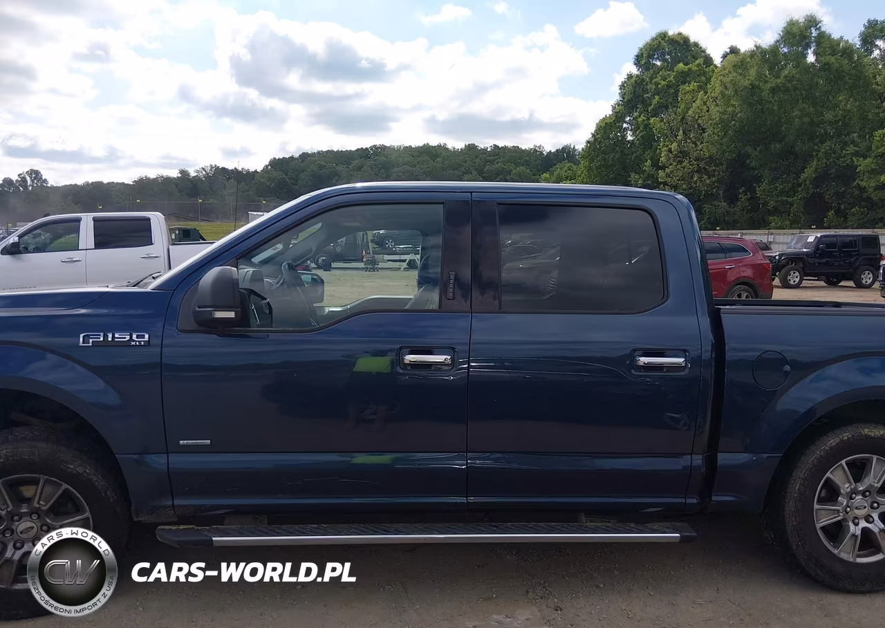 2016 Ford F-150 Xlt VIN:1FTEW1EP1GFD09323 - 15