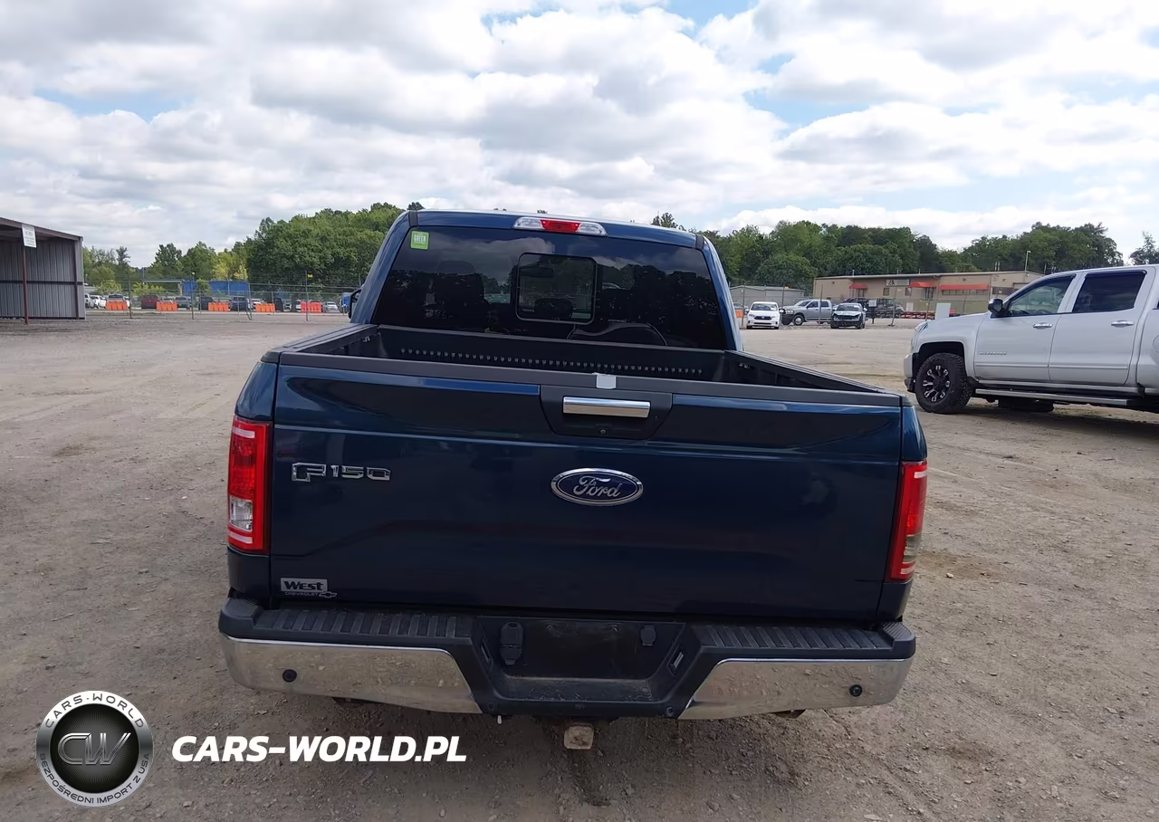 2016 Ford F-150 Xlt VIN:1FTEW1EP1GFD09323 - 17