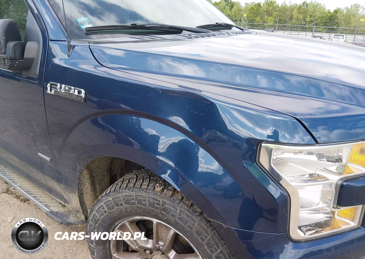 2016 Ford F-150 Xlt VIN:1FTEW1EP1GFD09323 - 18
