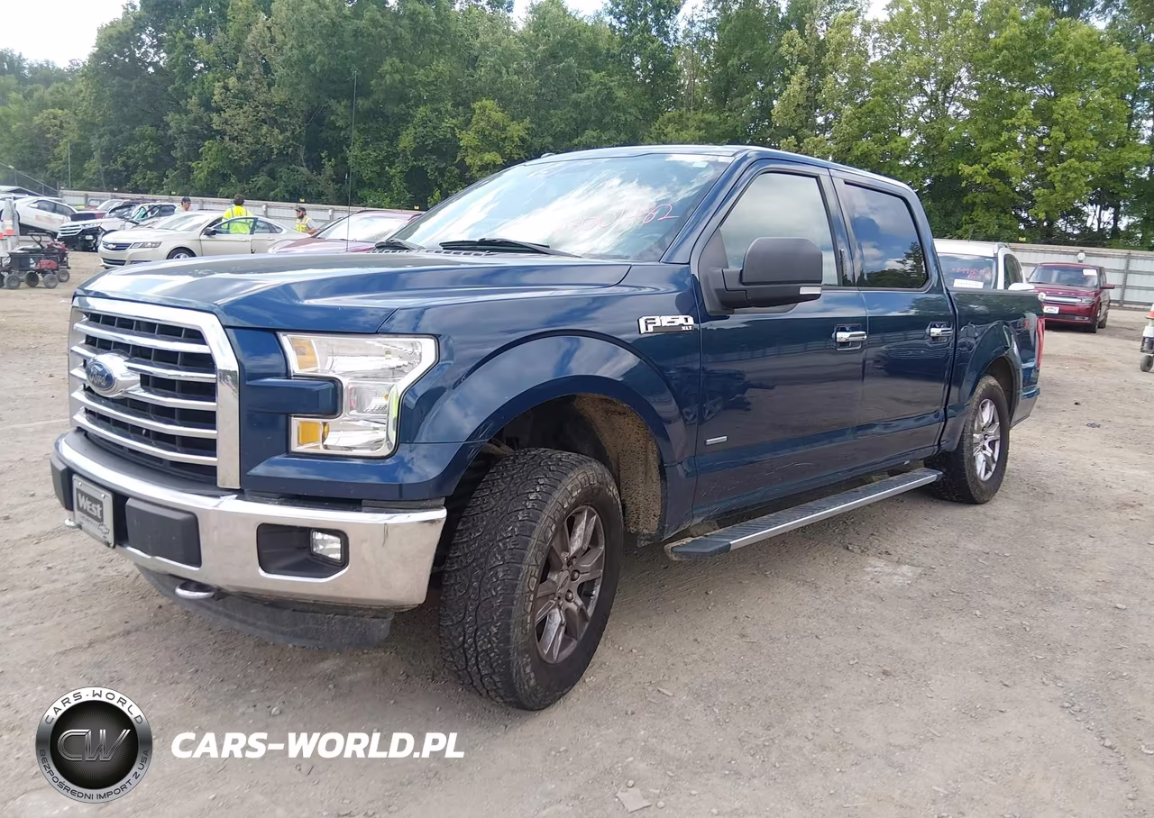 2016 Ford F-150 Xlt VIN:1FTEW1EP1GFD09323 - 2